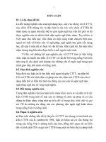 cấu trúc tiêu điểm thông tin trong câu tiếng việt