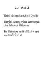 giáo án bồi dưỡng thao giảng, thi giáo viên giỏi sinh học lớp 9 bài 20 đột biến gen (1)