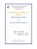 đề tài công nghệ w-cdma và các giải pháp kĩ thuật