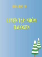 bài giảng hóa học 10 bài 26 luyện tập nhóm halogen