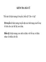 giáo án bồi dưỡng thao giảng, thi giáo viên giỏi sinh học lớp 9 bài 20 đột biến gen (2)