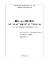 TRẢI PHỔ CHUỖI TRỰC TIẾP TRONG CDMA