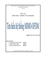 đề tài tìm hiểu hệ thống mimo-ofdm