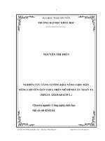 Nghiên cứu tăng cường khả năng chịu mặn bằng chuyển gen Coda trên mô hình cây xoan ta ( Melia Azedarach L.)