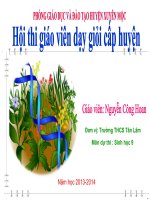 giáo án bồi dưỡng thao giảng, thi giáo viên giỏi sinh học lớp 9 bài 20 đột biến gen (6)