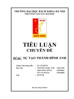 ĐỀ TÀI SỰ TẠO THÀNH HÌNH ẢNH ( Digital Image Processing)