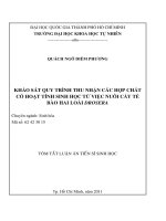 khảo sát quy trình thu nhận các hợp chất có hoạt tính sinh học từ việc nuôi cấy tế bào hai
