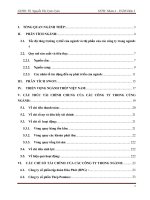 Phân tích chỉ số khả năng sinh lợi và phân tích chỉ số ngành thép tập đoàn hòa phát