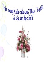 giáo án bồi dưỡng thao giảng, thi giáo viên giỏi sinh học lớp 9 bài 20 đột biến gen (26)