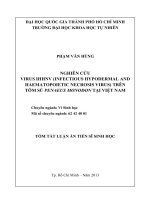 NGHIÊN CỨU  VIRUS IHHNV (INFECTIOUS HYPODERMAL AND HAEMATOPOIETIC NECROSIS VIRUS) TRÊN  TÔM SÚ PENAEUS MONODON TẠI VIỆT NAM