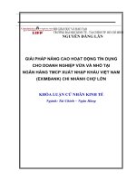 giải pháp nâng cao hoạt động tín dụng cho dnvvn tại ngân hàng tmcp xuất nhập khẩu việt nam (eximbank) chi nhánh chợ lớn