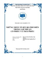 NHỮNG NHÂN TỐ RỦI RO PHỔ BIẾN TRONG LỢI NHUẬN CỔ PHIẾU VÀ TRÁI PHIẾU Ở VIỆT NAM