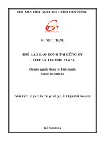 THÙ LAO LAO ĐỘNG TẠI CÔNG TY CỔ PHẦN TIN HỌC F1FS