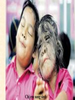 giáo án bồi dưỡng thao giảng, thi giáo viên giỏi sinh học lớp 9 bài 20 đột biến gen (18)