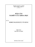 Luận văn cơ điện tử Robot hai bánh tự cân bằng