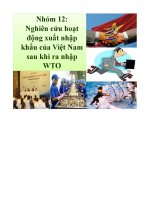 Bài thuyết trình: Nghiên cứu hoạt động xuất nhập khẩu của Việt Nam sau khi ra nhập WTO