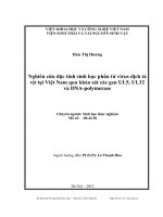 Nghiên cứu đặc tính sinh học phân tử virus dịch tả vịt tại Việt Nam qua khảo sát các gen UL5, UL32 và DNA polymerase