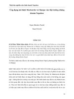 Ứng dụng mô hình Markowitz và Sharpe vào thị trường chứng khoán Nepalese