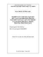 nghiên cứu chuyển nạp gen hiv-1 p24 tạo protein kháng nguyên vào lục