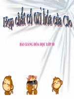 bài giảng hóa học 10 bài 24 sơ lược về hợp chất có oxi của clo