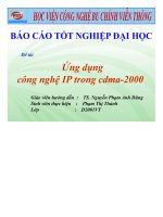 đề tài ứng dụng công nghệ ip trong cdma-2000