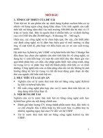 nghiên cứu xử lý nước thải tinh bột mì bằng công nghệ sinh học hybrid