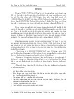 Bản đăng ký đạt chuẩn môi trường công ty TNHH CNTP bạch đằng