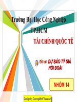 Đề tài dự báo tỷ giá hối đoái