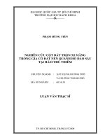 LUẬN VĂN THẠC SĨ NGÀNH XÂY DỰNG ĐƯỜNG Ô TÔ NGHIÊN CỨU CỘT ĐẤT TRỘN XI MĂNG TRONG GIA CỐ ĐẤT NỀN QUANH HỐ ĐÀO SÂU TẠI HẦM THỦ THIÊM