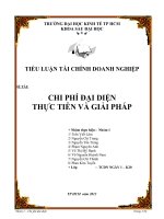 TIỂU LUẬN TÀI CHÍNH DOANH NGHIỆP ĐỀ TÀI CHI PHÍ ĐẠI DIỆN THỰC TIỄN VÀ GIẢI PHÁP