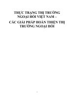 Thực trạng thị trường ngoại hối việt nam và các giải pháp hoàn thiện thị trường ngoại hối
