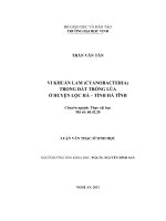 vi khuẩn lam (cyanobacteria) trong đất trồng lúa huyện lộc hà, tỉnh hà tĩnh