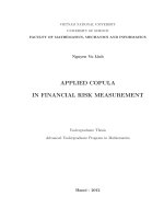 APPLIED COPULA IN FINANCIAL RISK MEASUREMENT ( khóa luận tốt nghiệp)