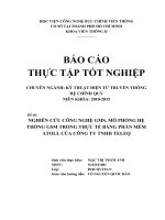 NGHIÊN CỨU CÔNG NGHỆ GMS, MÔ PHỎNG HỆ THỐNG GSM TRONG THỰC TẾ BẰNG PHẦN MỀM ATOLL CỦA CÔNG TY TNHH TELEQ