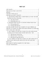 Nghiên cứu quá trình lan truyền, tương tác giữa các song trong một số hỗn hợp chất lỏng hai pha