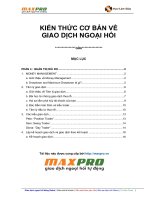 quản trị rủi ro trong giao dịch ngoai hối