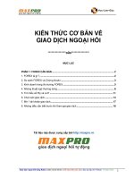 kiến thức cơ bản về giao dịch ngoại hối phần 1  forex căn bản