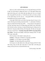 Ứng dụng công nghệ OFDM trong mạng không dây wimax