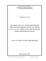 Tách dòng gen cry4A, cry4B mã hóa protein diệt côn trùng bộ hai cánh từ các chủng Baccillus thuringiensis phân lập từ một số mẫu đất thuộc thành phố Nha Trang