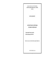 một số kỹ thuật cải tiến trong ẩn thông tin trên ảnh