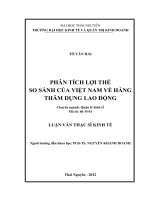 Phân tích lợi thế so sánh của Việt Nam về hàng thâm dụng lao động
