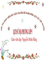 Giáo án Lịch sử địa phương: Danh nhân Đỗ Ngọc Du