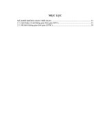 PHÂN TÍCH PHẨM CHẤT mã KHỐI STBC OFDM