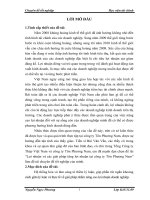 lợi nhuận và các giải pháp tăng lợi nhuận tại công ty tôn phương nam