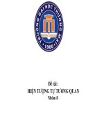 Hiện tượng tự tương quan và cách khắc phục (có ví dụ)