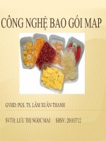 ĐỀ TÀI :CÔNG NGHỆ BAO GÓI MAP