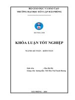 Hoàn thiện công tác lập và phân tích Bảng cân đối kế toán tại công ty Cổ phần Sivico
