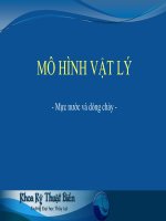 mô hình vật lý- mực nước và dòng chảy