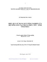 Hiệu quả sử dụng đất nông nghiệp của hộ nông dân tại thị xã Phúc Yên, tỉnh Vĩnh Phúc