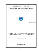 determiners as discourse referents